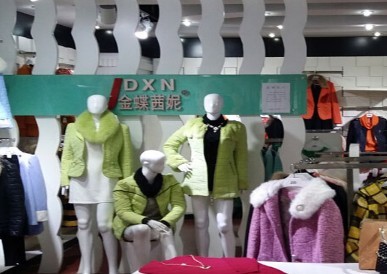 穿金蝶茜妮女装，气质蜕变引领财富新路——女装创业致胜秘籍